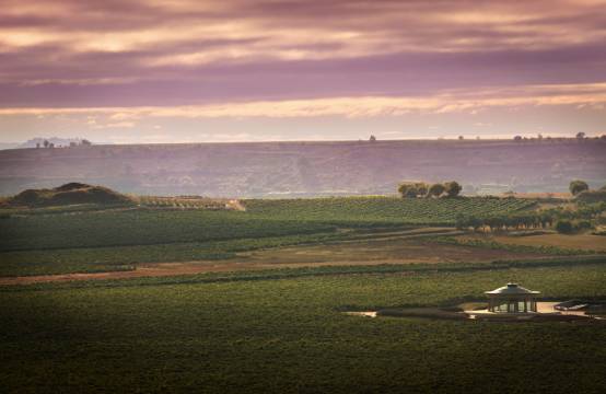 De entree naar het wijngoed